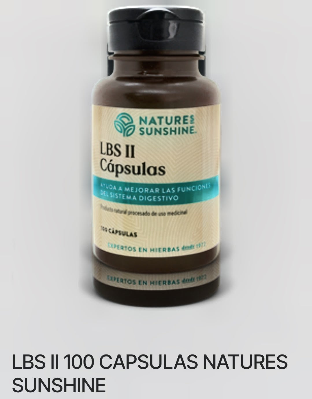 LBS 8I