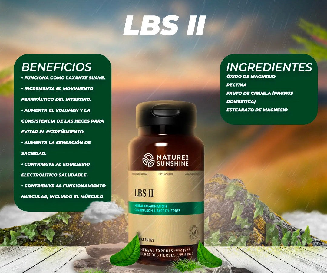 LBS 8I